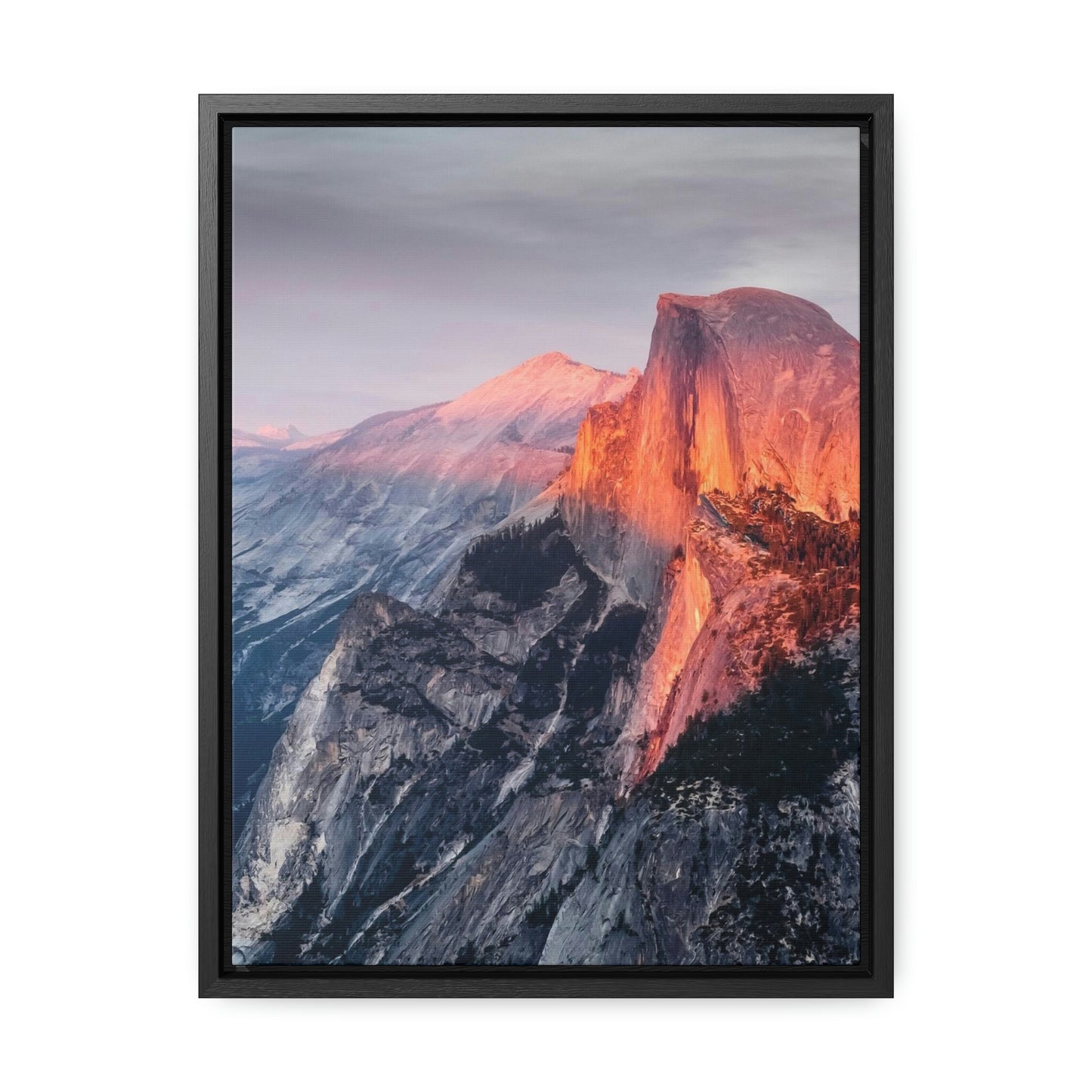 Framed Gallery Canvas Wrap