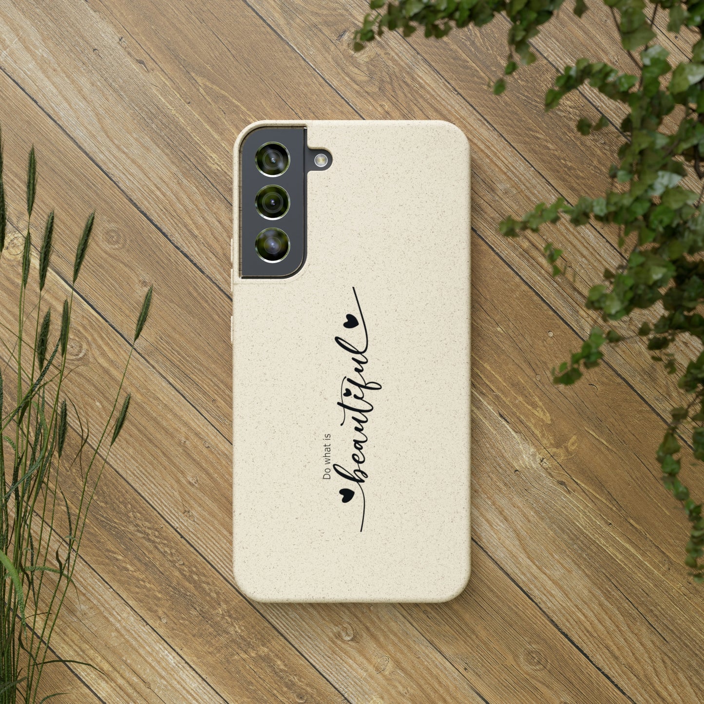 Biodegradable Cases