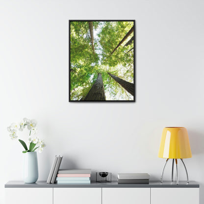 Framed Gallery Canvas Wrap