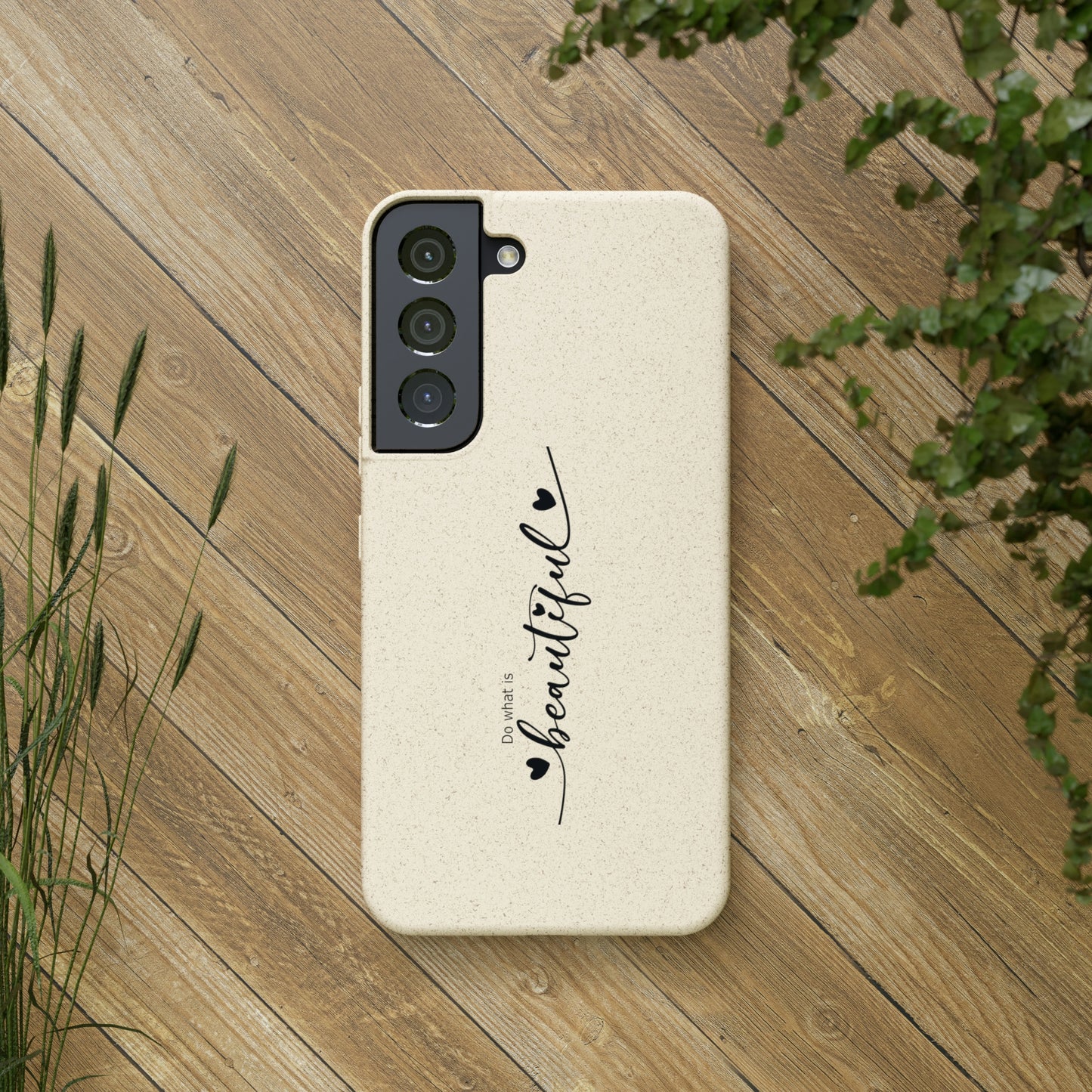 Biodegradable Cases