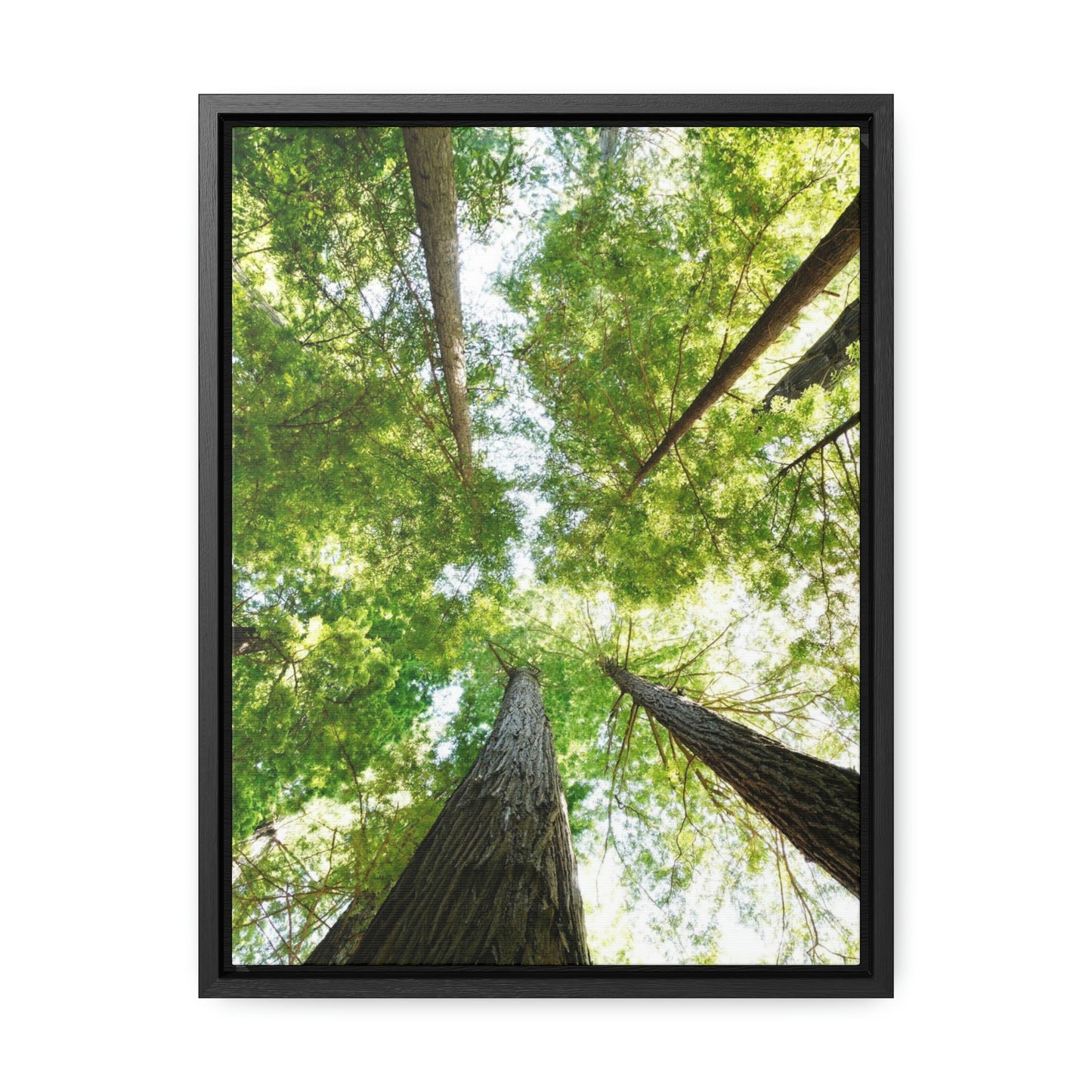 Framed Gallery Canvas Wrap