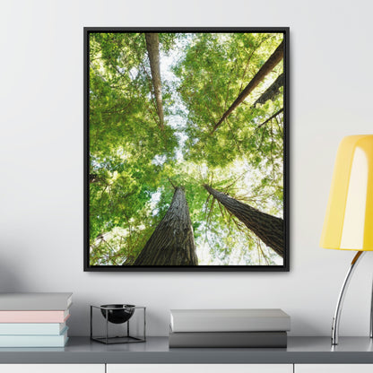 Framed Gallery Canvas Wrap