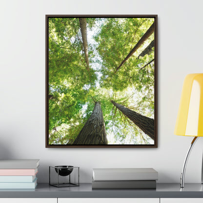 Framed Gallery Canvas Wrap