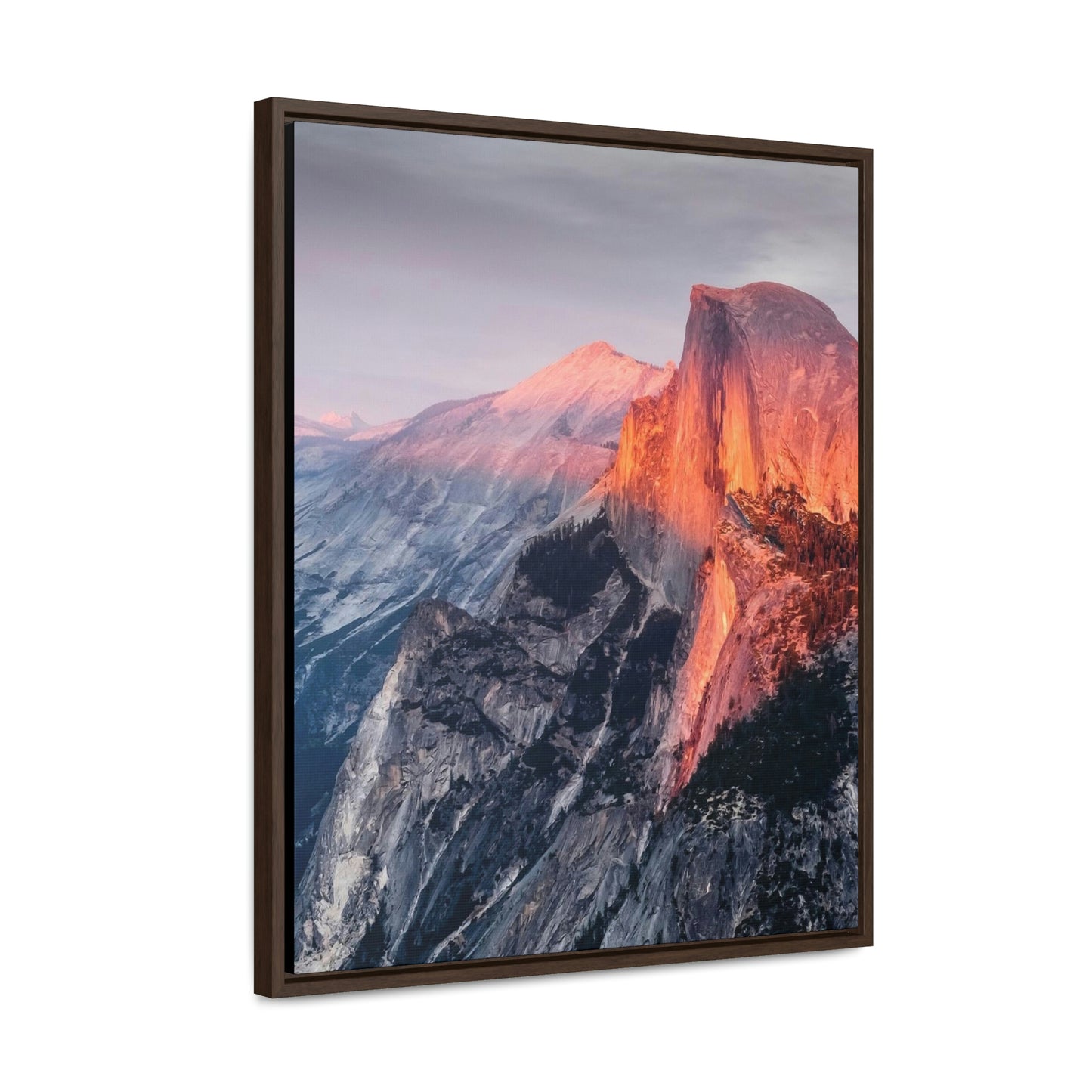 Framed Gallery Canvas Wrap