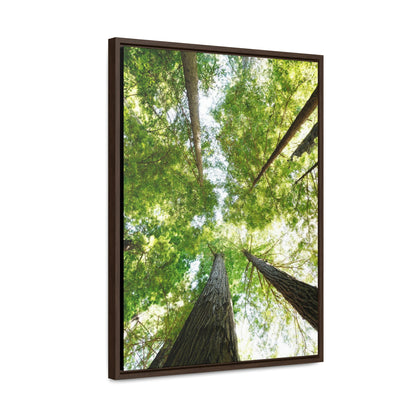 Framed Gallery Canvas Wrap