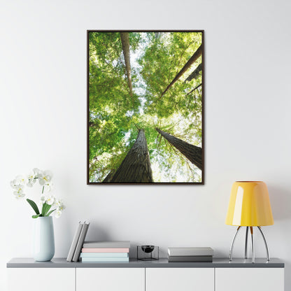 Framed Gallery Canvas Wrap