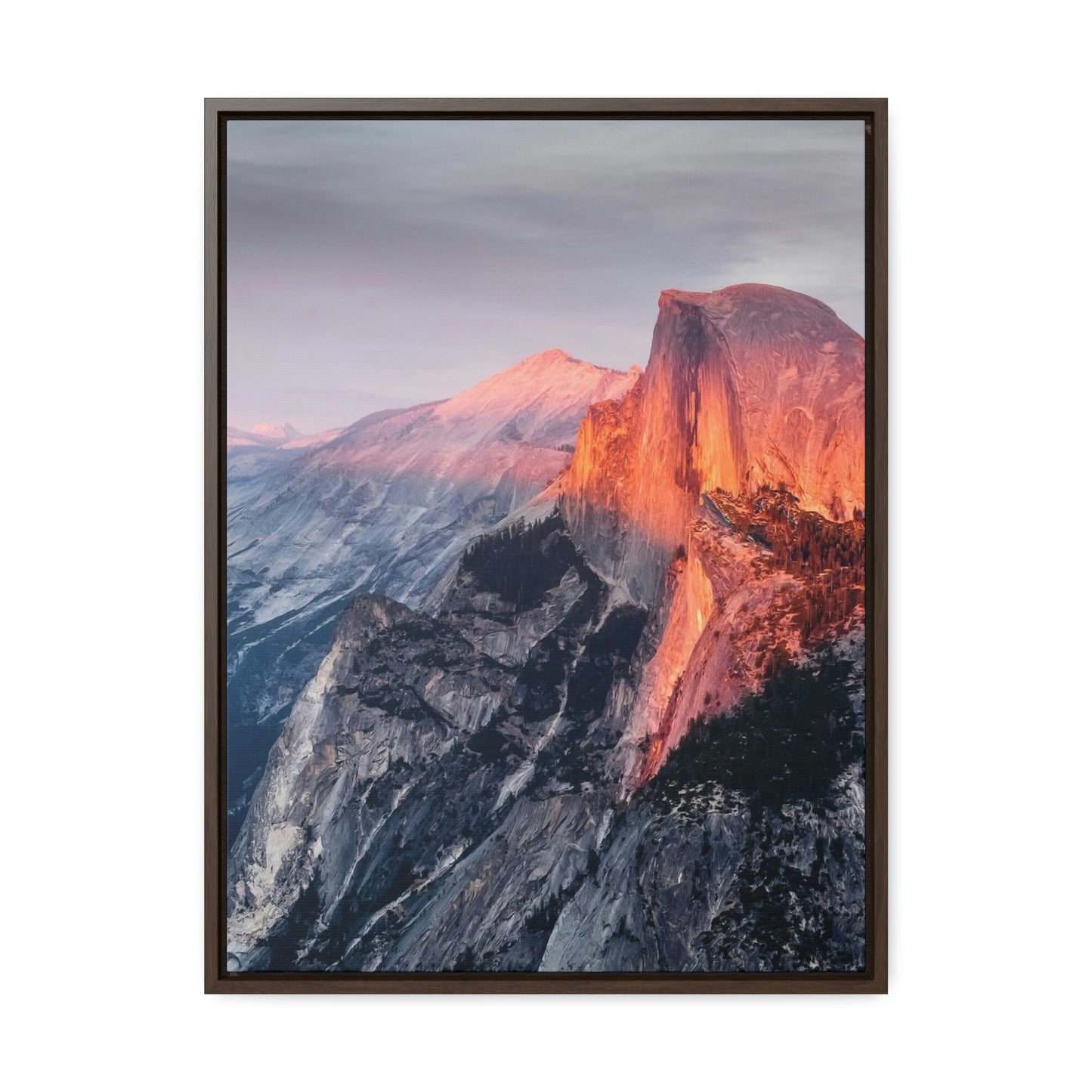 Framed Gallery Canvas Wrap