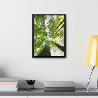 Framed Gallery Canvas Wrap