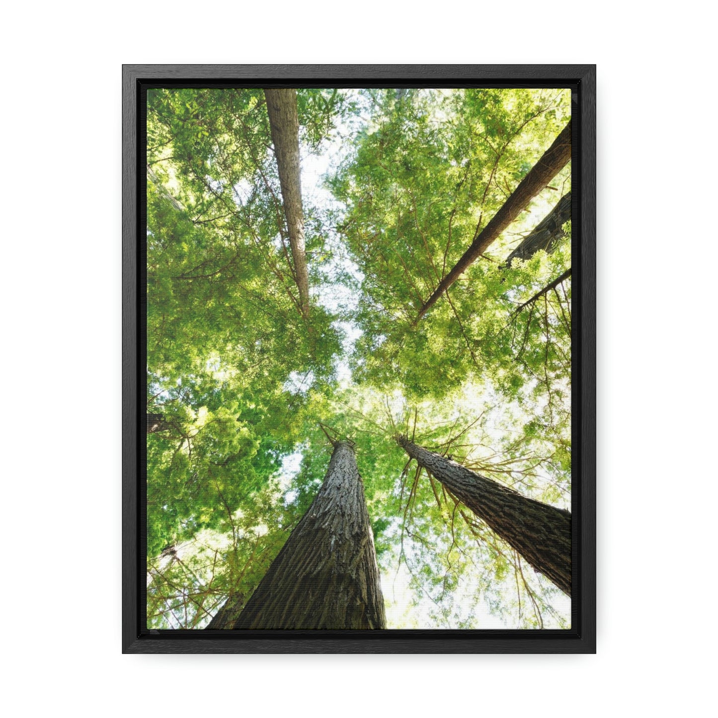 Framed Gallery Canvas Wrap