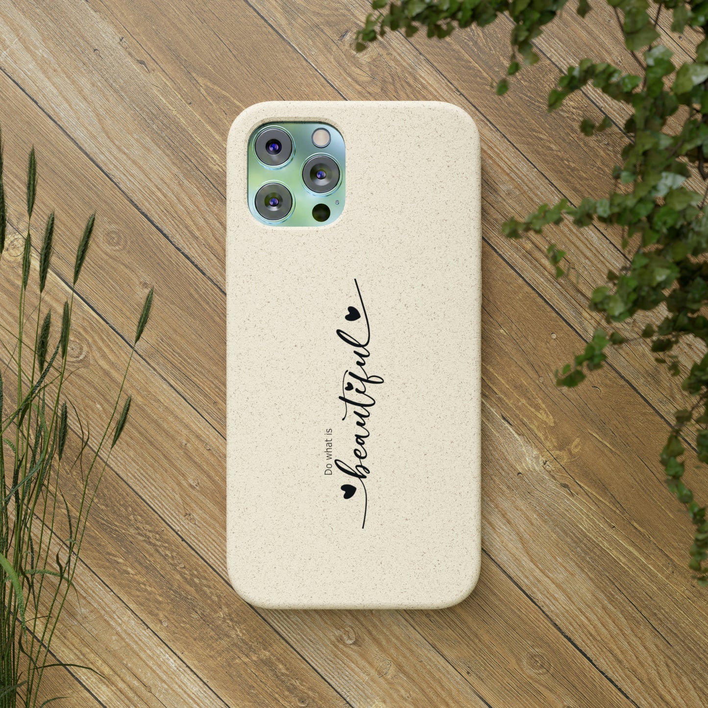 Biodegradable Cases