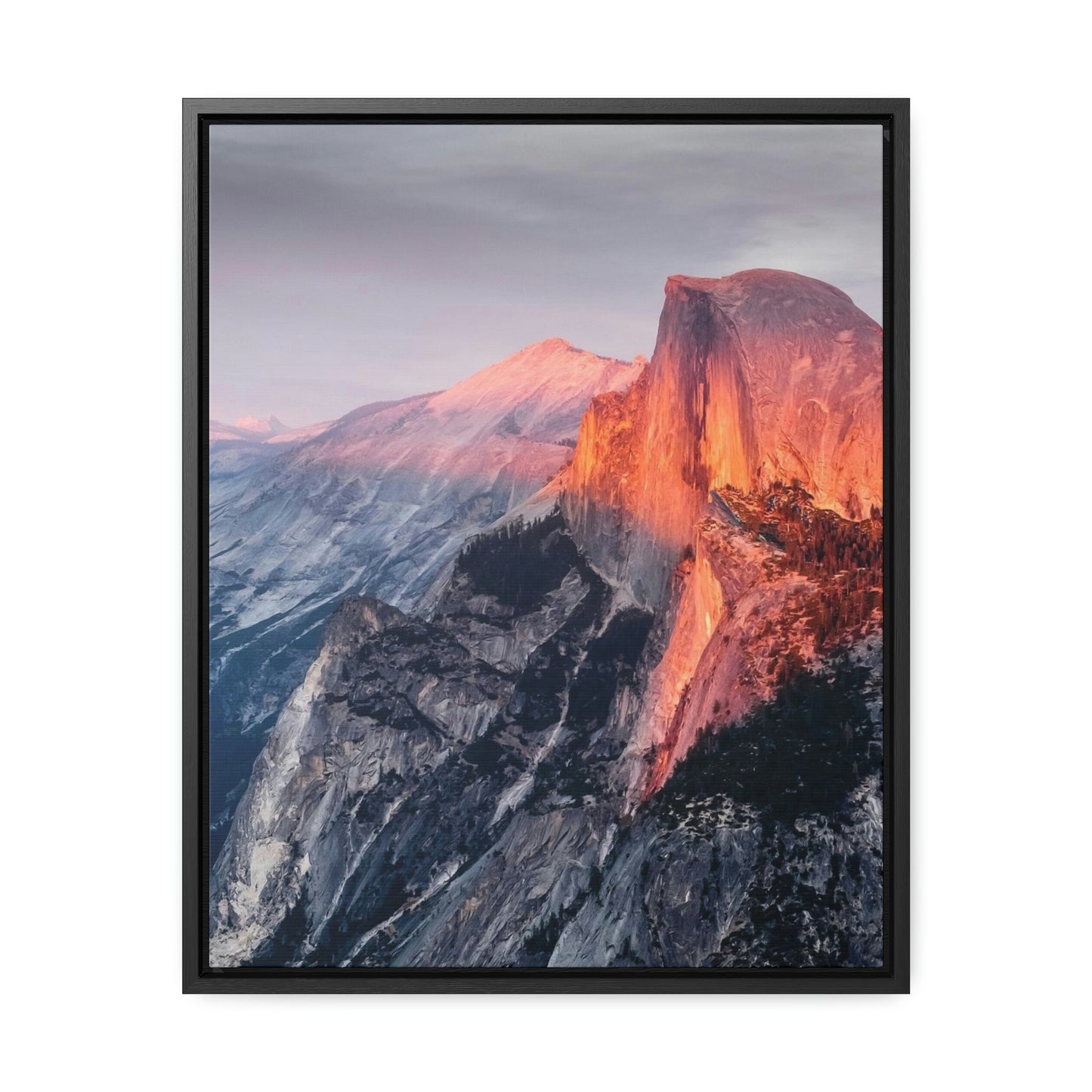 Framed Gallery Canvas Wrap