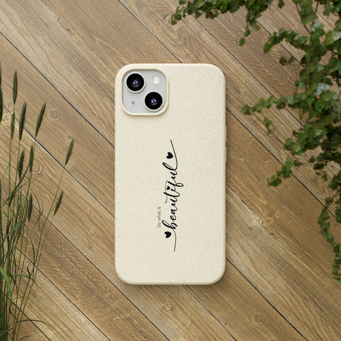 Biodegradable Cases