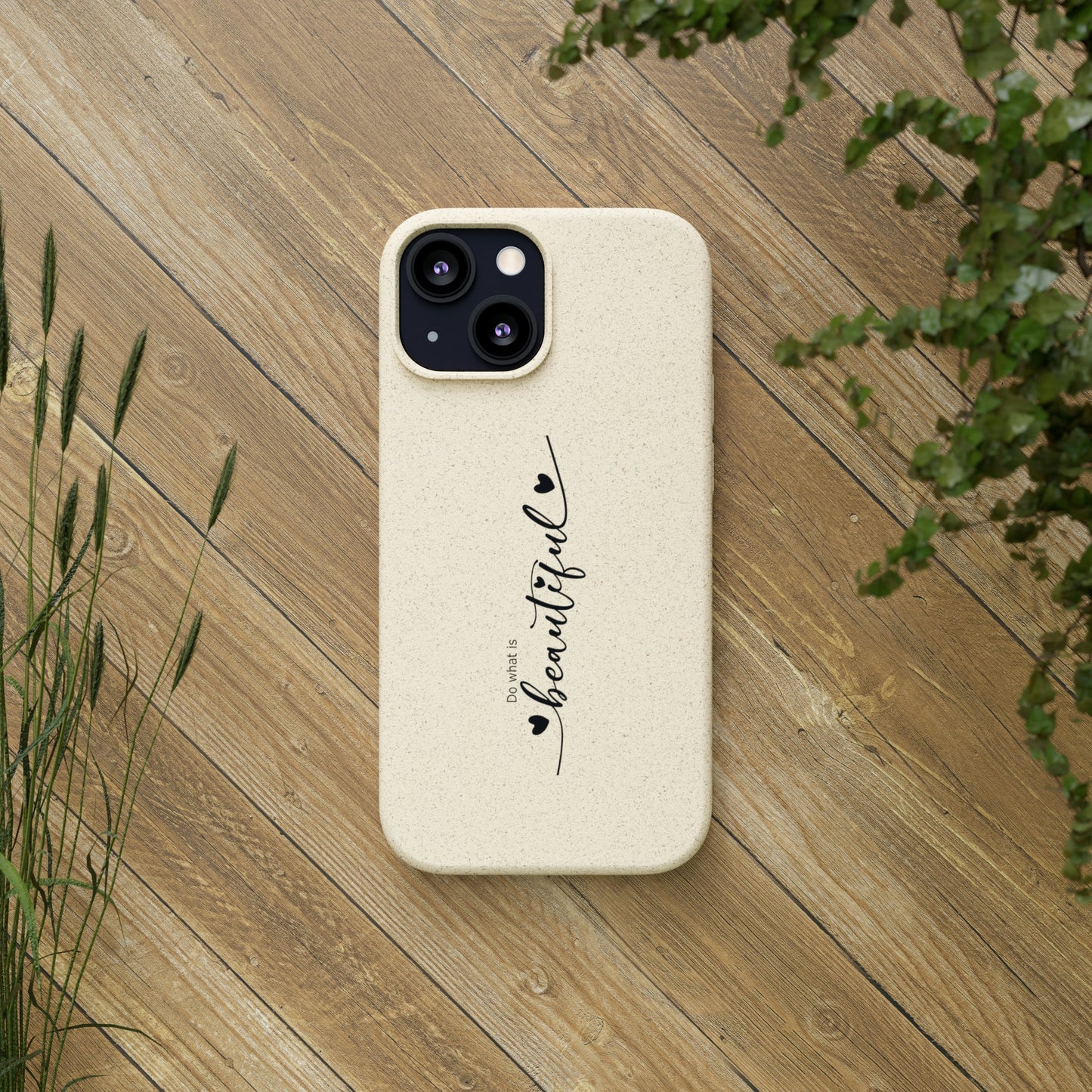 Biodegradable Cases