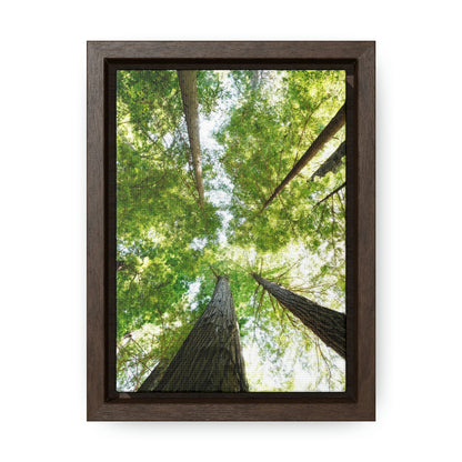 Framed Gallery Canvas Wrap