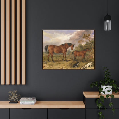 Framed Gallery Canvas Wrap