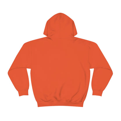 Think Outside The Box Hoodie