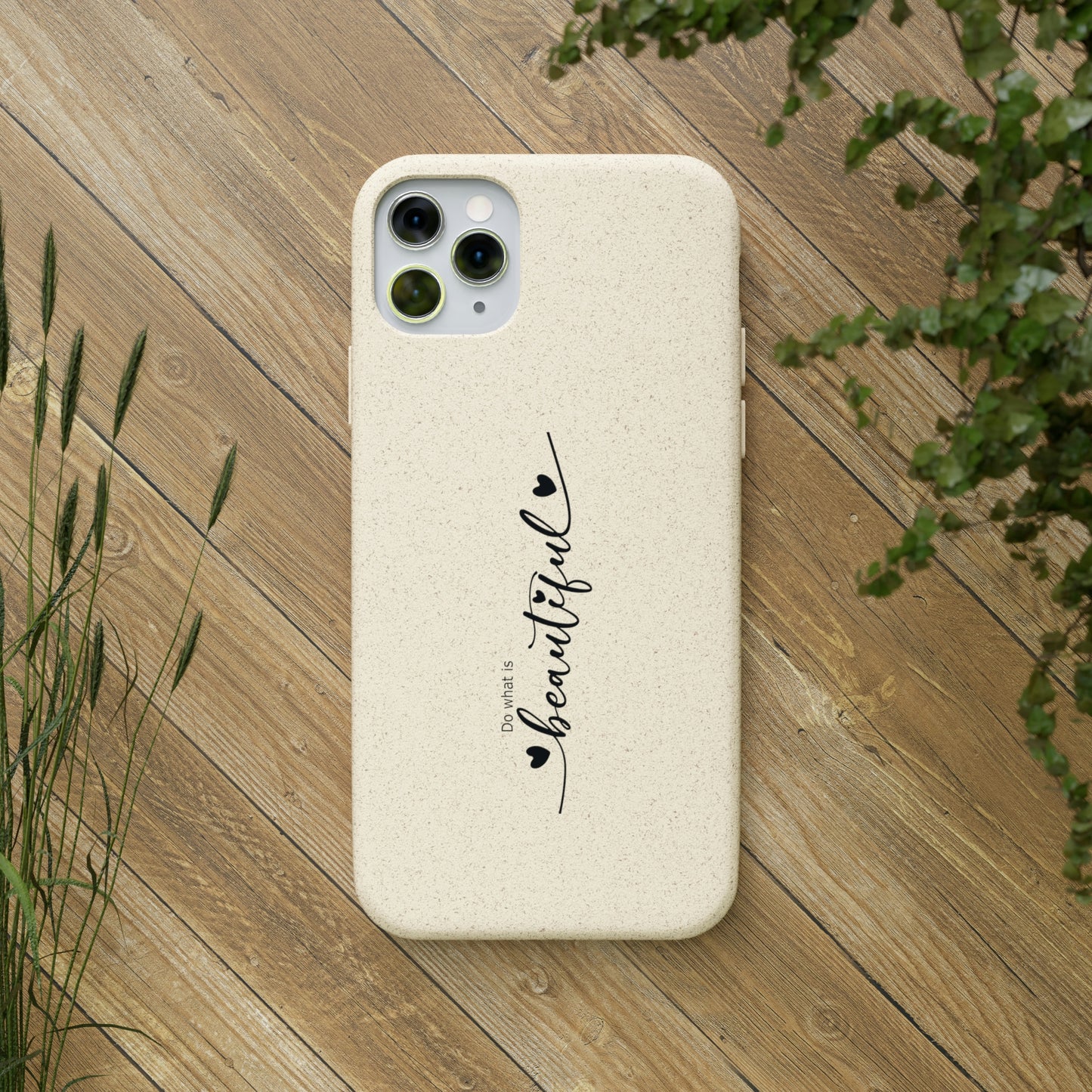 Biodegradable Cases