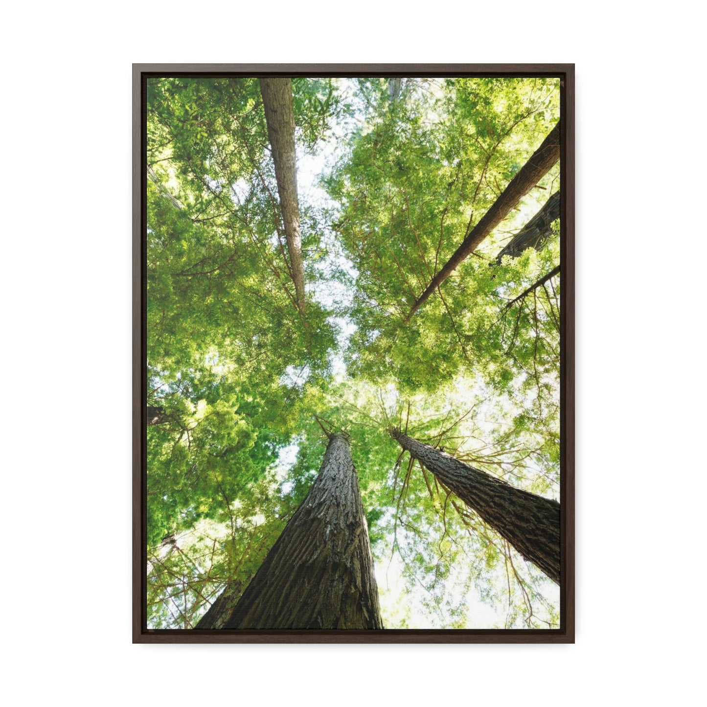 Framed Gallery Canvas Wrap