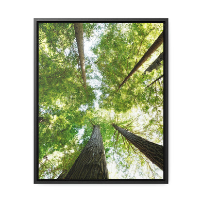 Framed Gallery Canvas Wrap