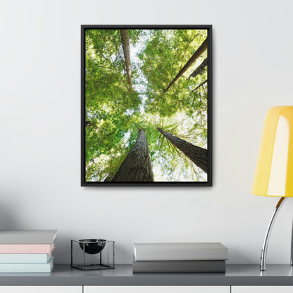 Framed Gallery Canvas Wrap