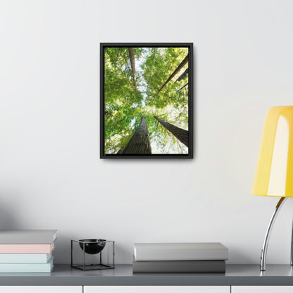 Framed Gallery Canvas Wrap