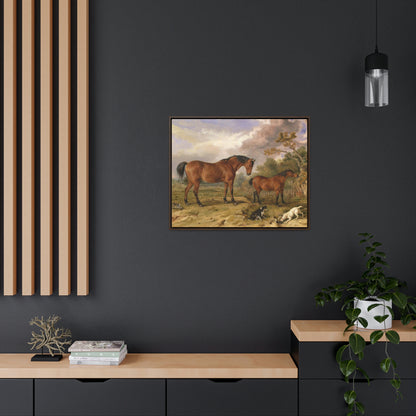 Framed Gallery Canvas Wrap