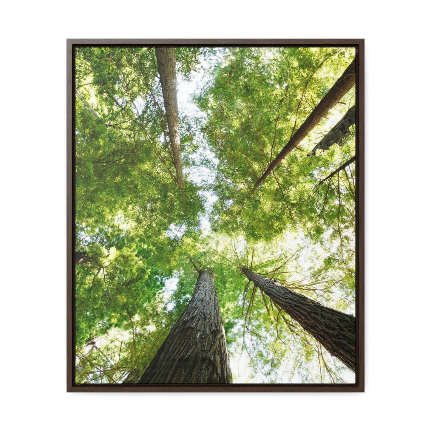 Framed Gallery Canvas Wrap